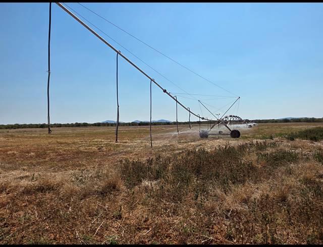 43HA FARM FOR SALE IN MOPANE